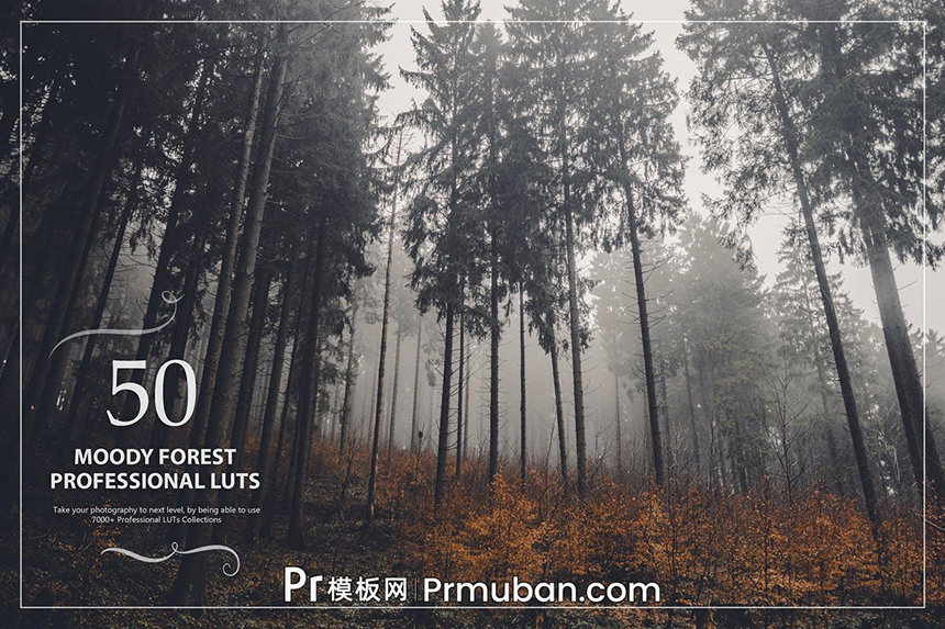 pr调色 pr lut预设 50个森林环境视频照片调色LUTs