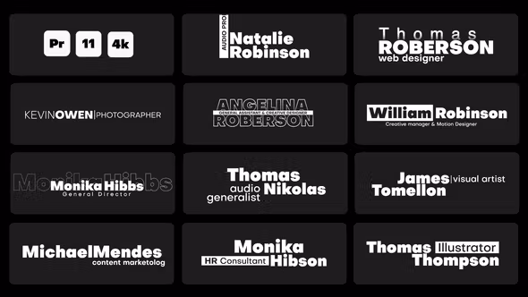 时尚简约短视频字幕条PR动态标题模板