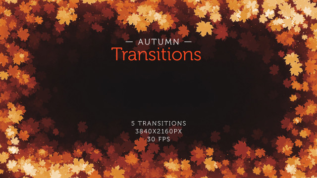 枫叶转场视频素材|金秋枫叶转场特效视频素材