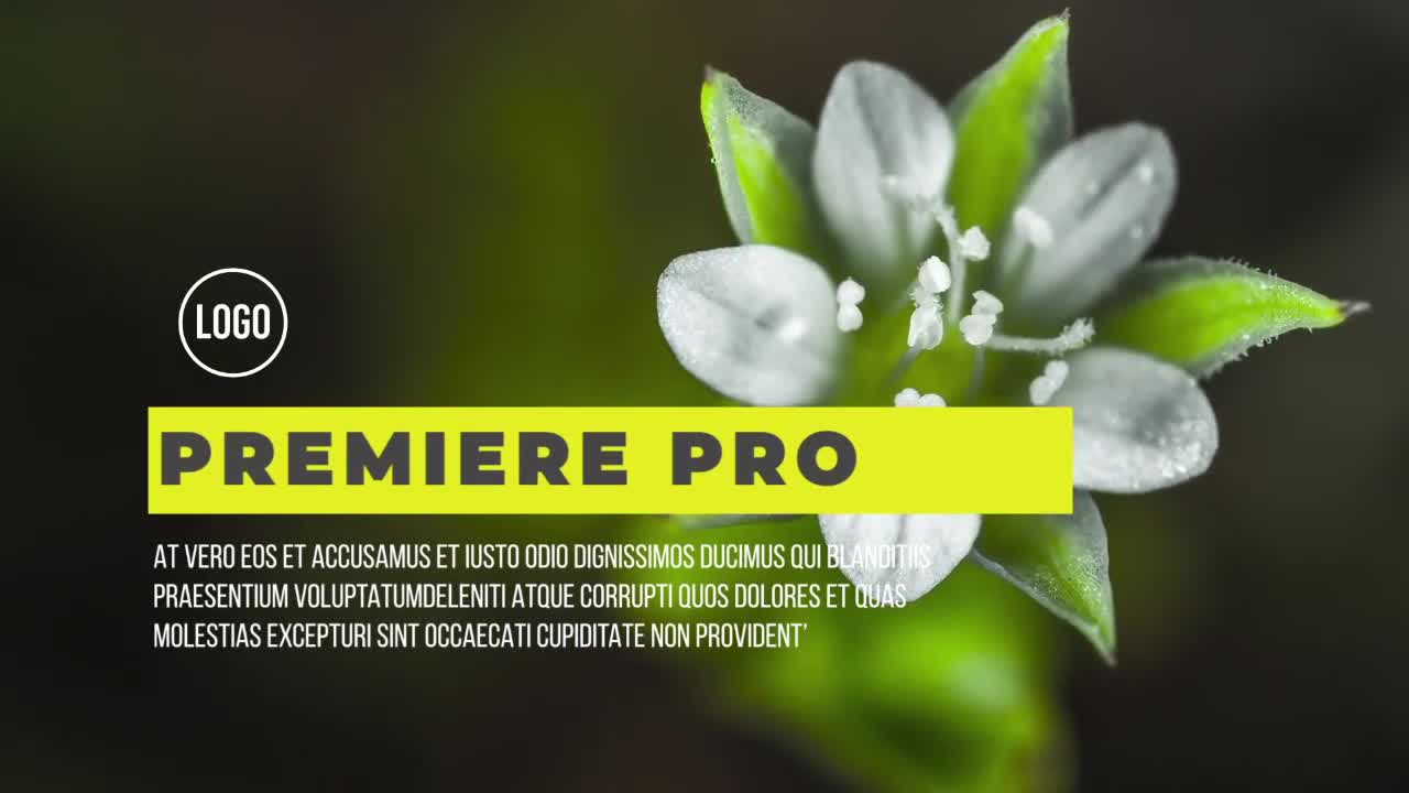 12个全屏标题文字动画pr视频字幕模板